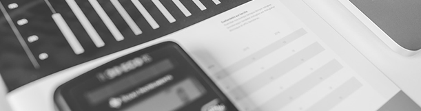 Servicio de Auditoria