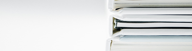 Servicio de Consultoria